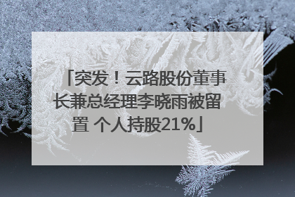 突发！云路股份董事长兼总经理李晓雨被留置 个人持股21%